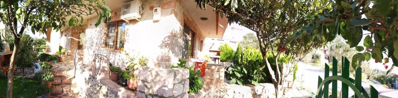 Altin Skrapari Guesthouse 사밀 외부 사진