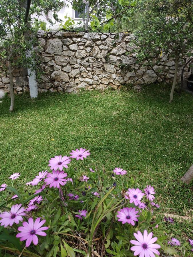 Altin Skrapari Guesthouse 사밀 외부 사진