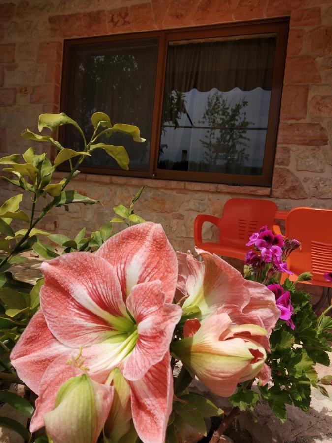 Altin Skrapari Guesthouse 사밀 외부 사진