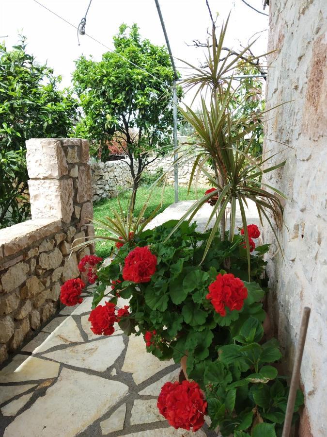 Altin Skrapari Guesthouse 사밀 외부 사진
