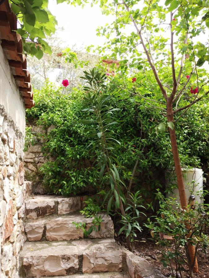 Altin Skrapari Guesthouse 사밀 외부 사진