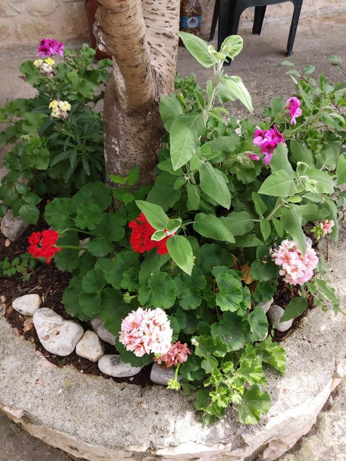 Altin Skrapari Guesthouse 사밀 외부 사진