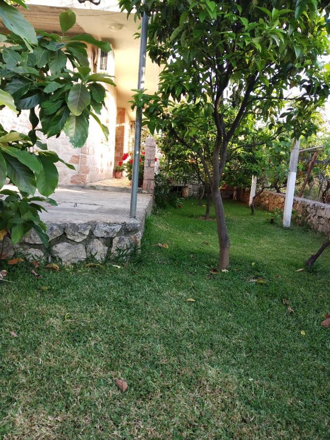 Altin Skrapari Guesthouse 사밀 외부 사진