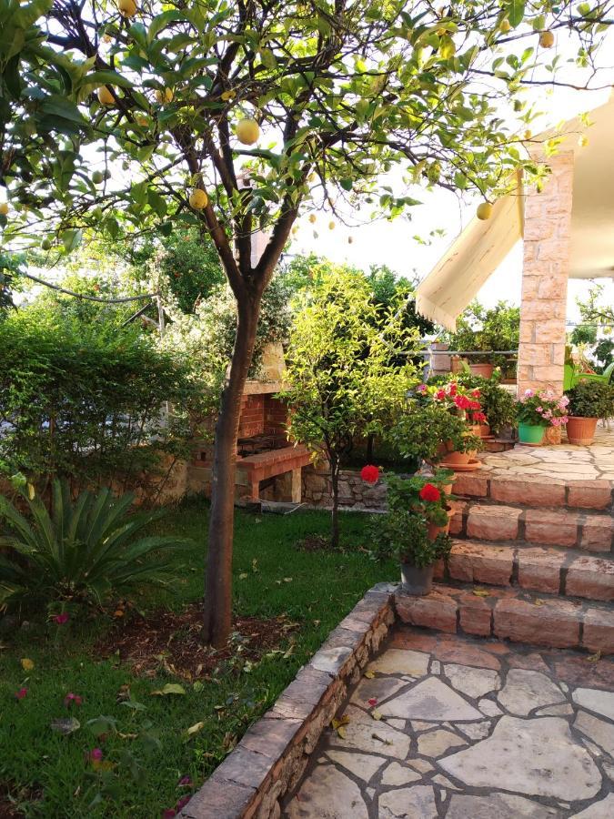 Altin Skrapari Guesthouse 사밀 외부 사진