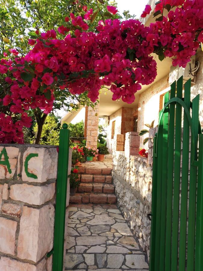 Altin Skrapari Guesthouse 사밀 외부 사진