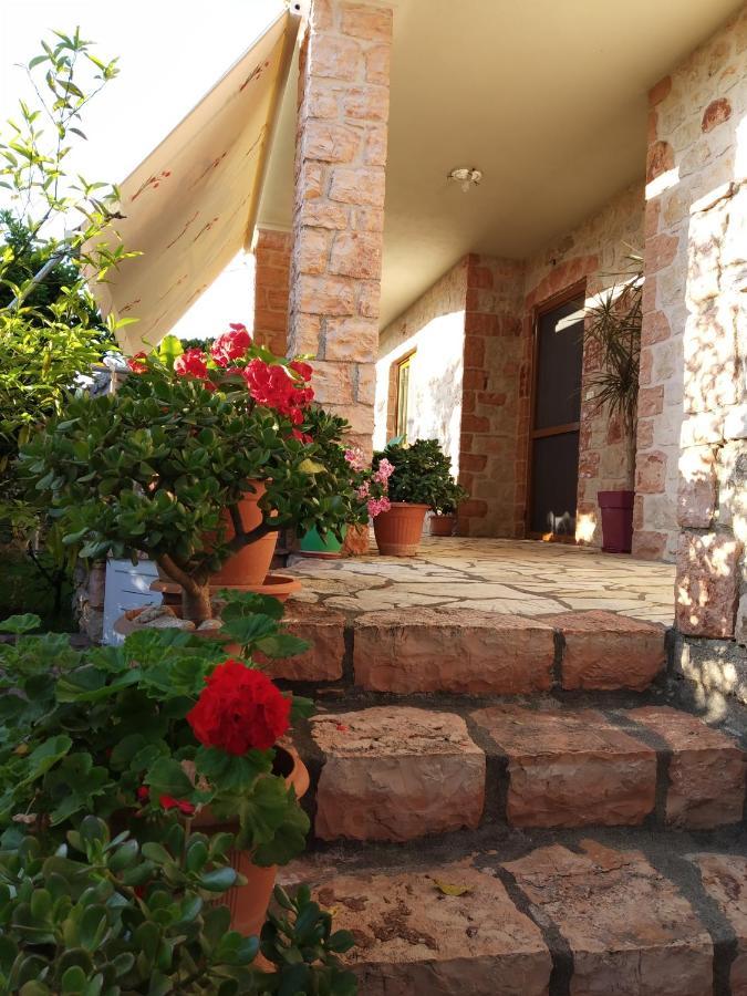 Altin Skrapari Guesthouse 사밀 외부 사진