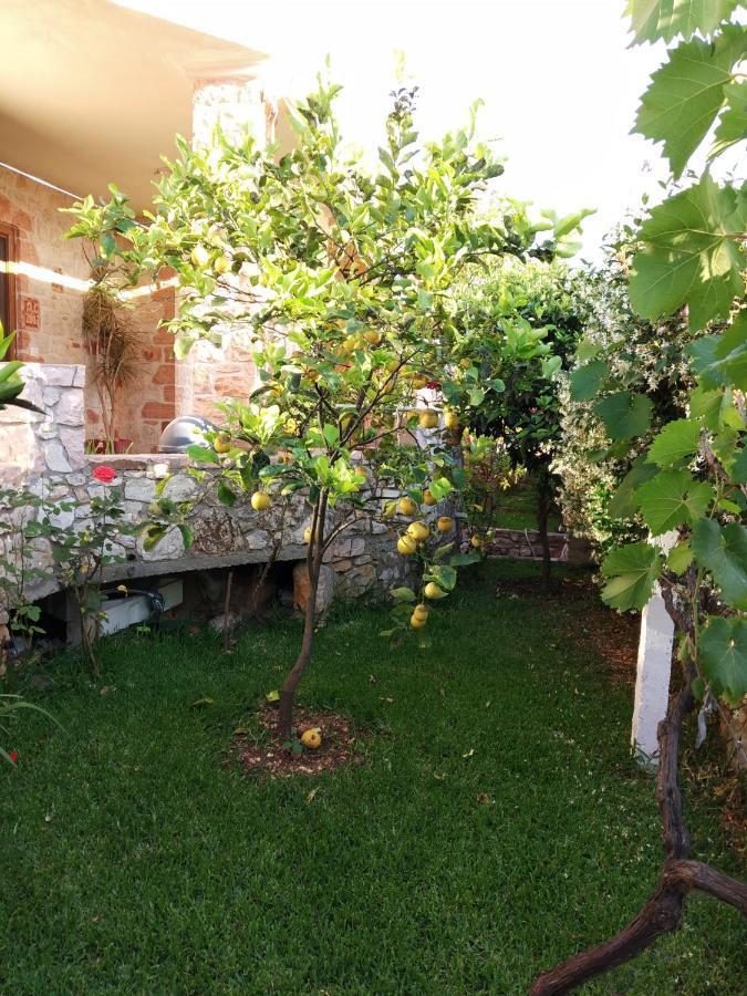 Altin Skrapari Guesthouse 사밀 외부 사진