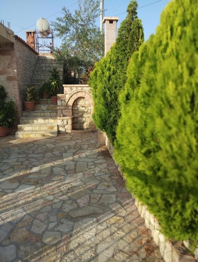 Altin Skrapari Guesthouse 사밀 외부 사진